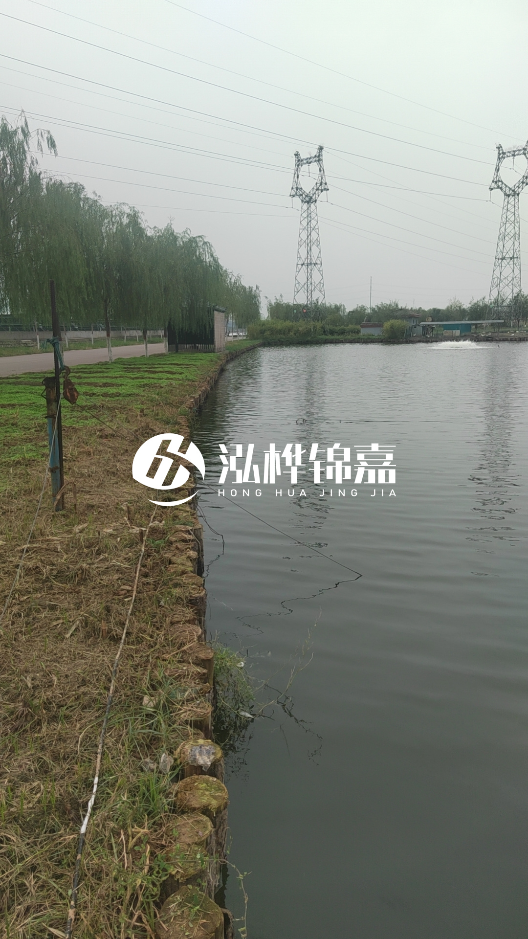 大同河道打松木樁施工-護坡木樁新的好還是舊的？