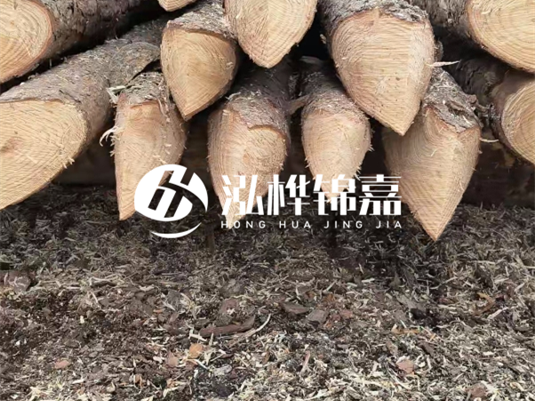 打樁木樁與鋼樁相比有哪些優(yōu)缺點？如何進行后期維護？