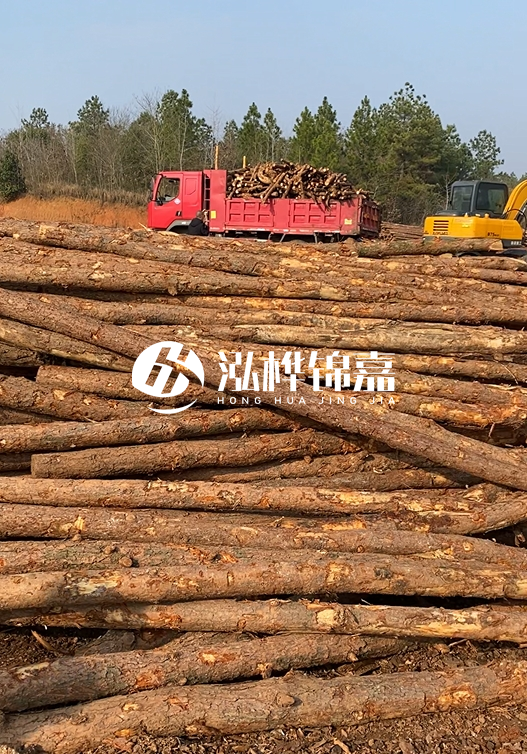 8米小頭11-13CM的松木樁價格是多少？打樁施工怎么算？