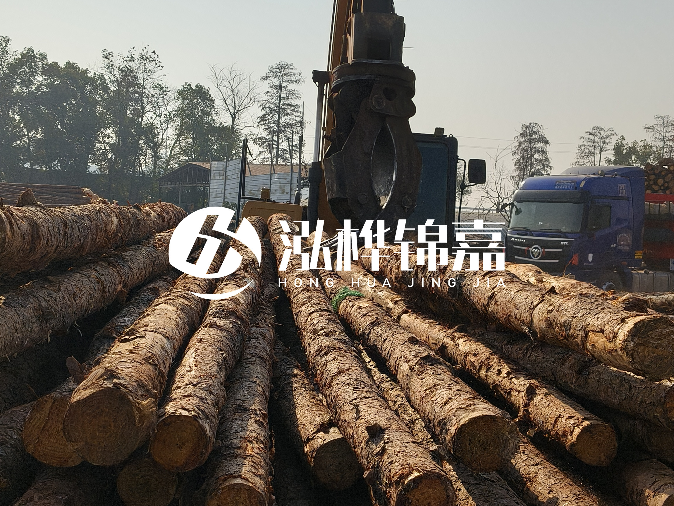 松木樁可以用來做什么？常用于哪些工程？