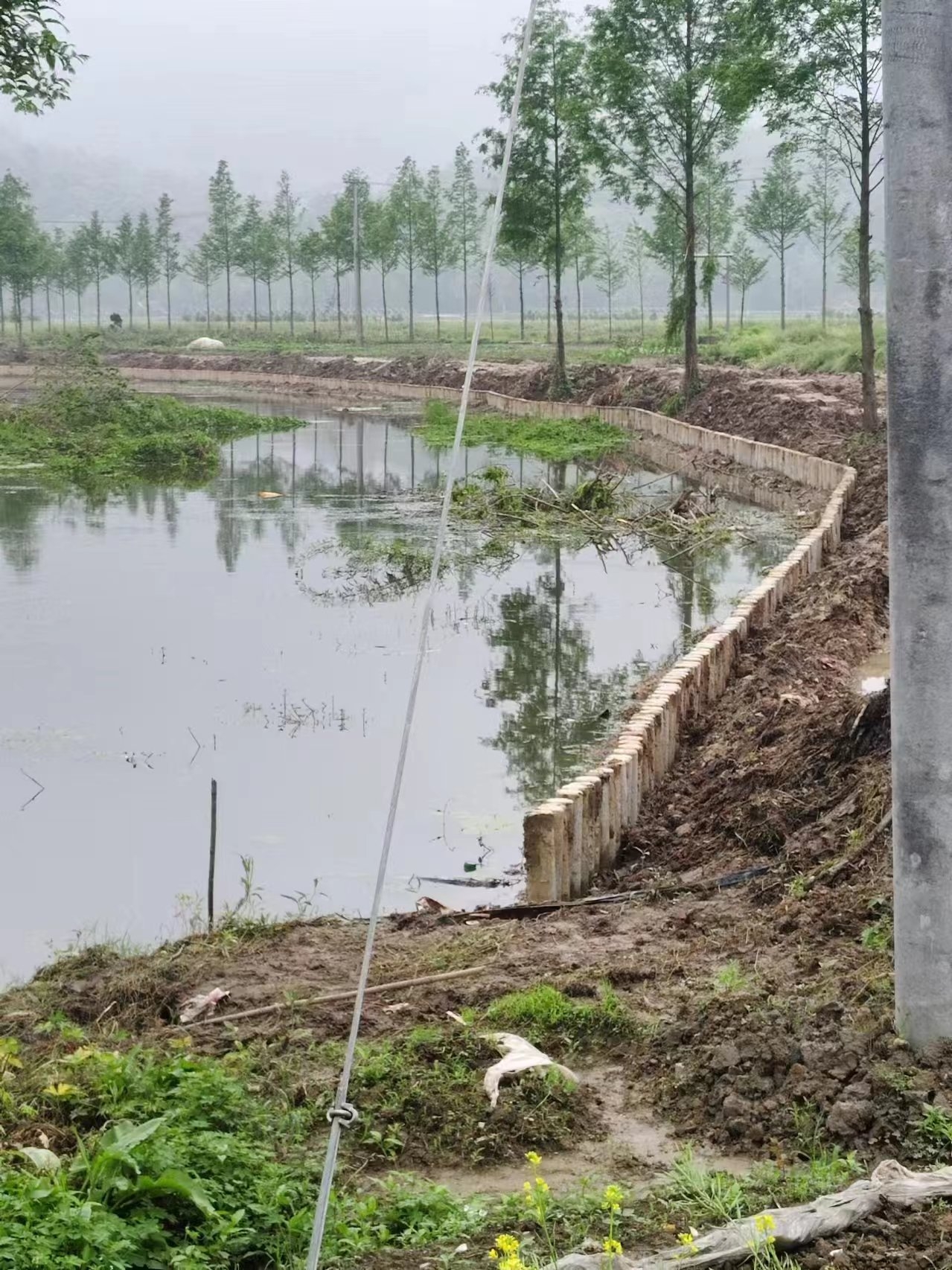 湖南水泥樁施工隊泓樺錦嘉-打水泥樁需要注意哪些事項？