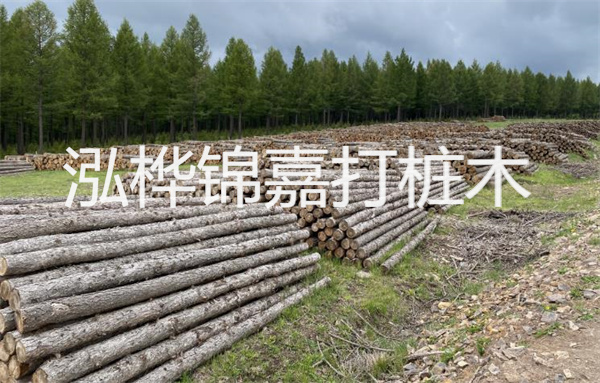 輻射松價格一覽，帶您了解輻射松多少錢一個立方的價格區間